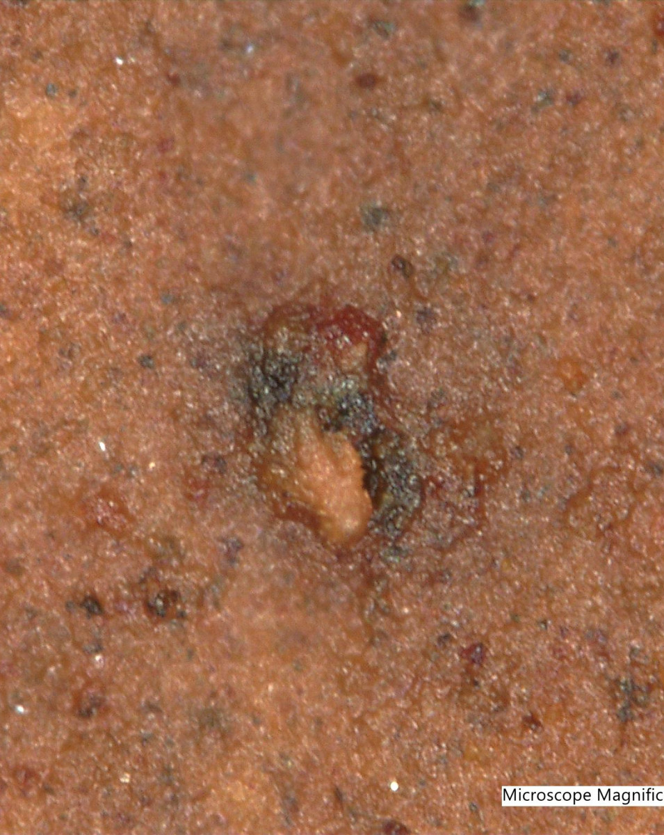 Mpc Test MPC Varnish Test Explained: ASTM D7843, Oil Analysis and Varnish